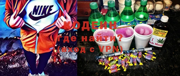 хмурый Алексин