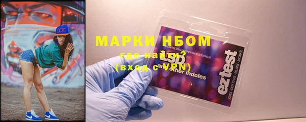 хмурый Алексин