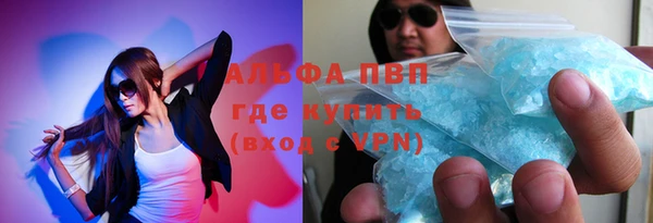 хмурый Алексин