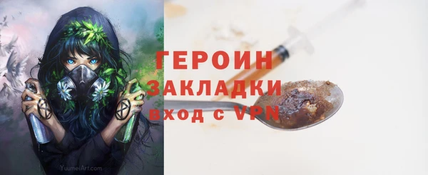 PSILOCYBIN Ельня