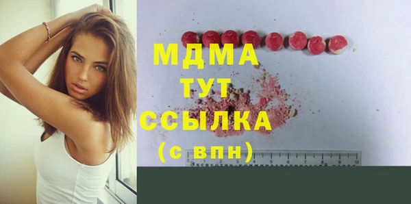хмурый Алексин