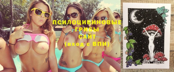 скорость Алзамай