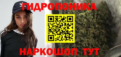ешки Гусь-Хрустальный