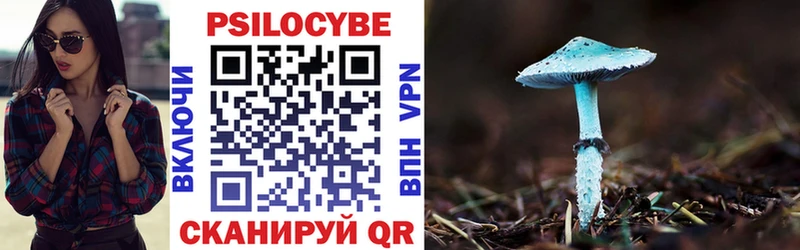 Псилоцибиновые грибы Cubensis  Нефтекамск 