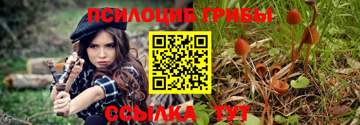 Псилоцибиновые грибы Cubensis  Галлюциногенные грибы GOLDEN TEACHER  Нефтекамск  Вход с VPN 